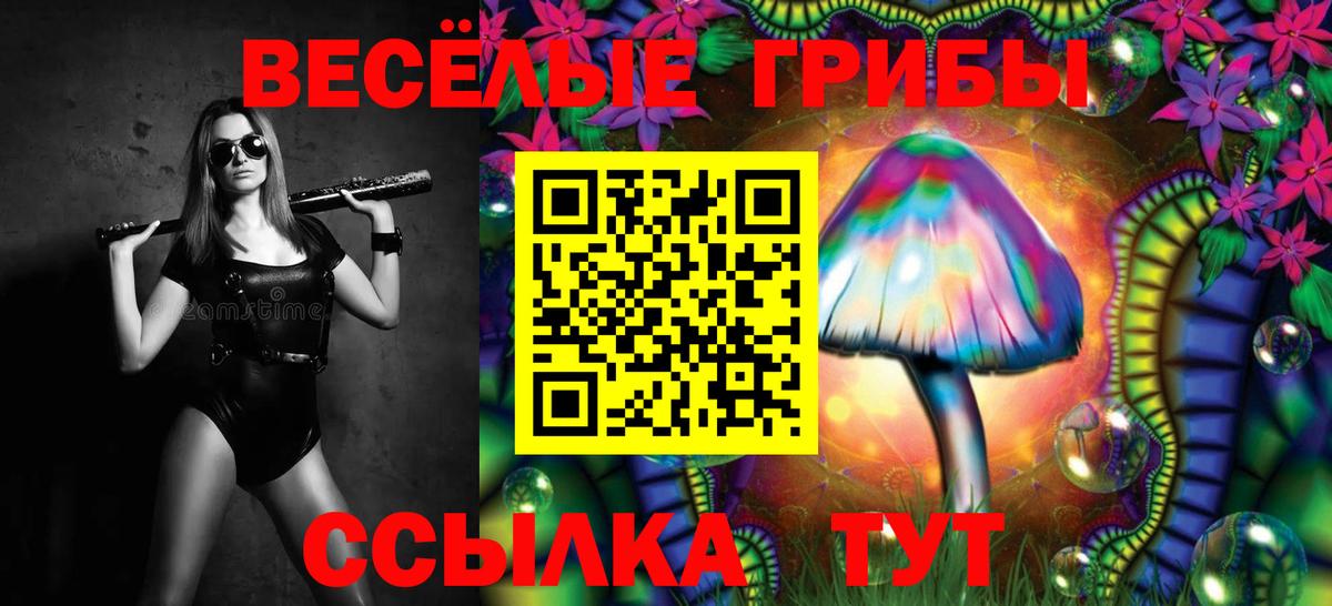 Галлюциногенные грибы прущие грибы Мценск